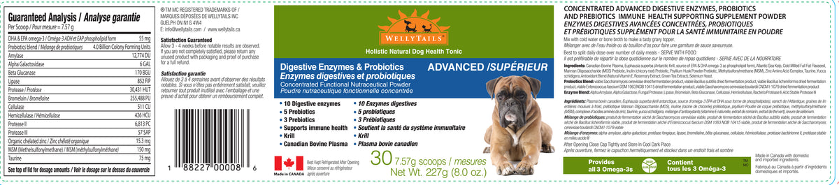 WellyTails Digestive Enzymes & Probiotics ADVANCED